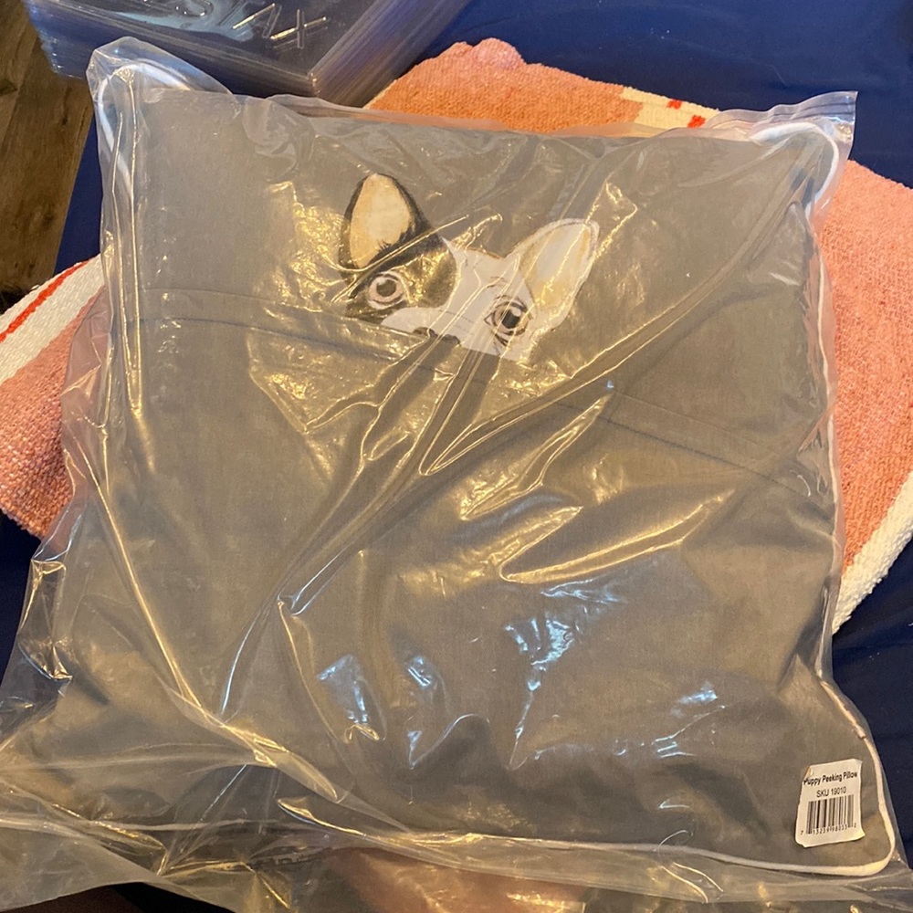 Brand new pillow.
